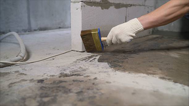 SJ Waterproofing Pros Waterproofing coverage map for Whitehouse, OH and surrounding area